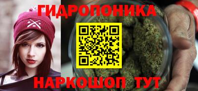 ГАЛЛЮЦИНОГЕННЫЕ ГРИБЫ Кандалакша